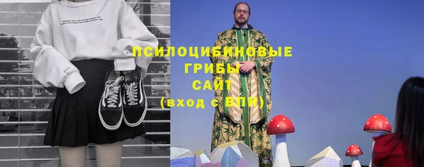 индика Абдулино