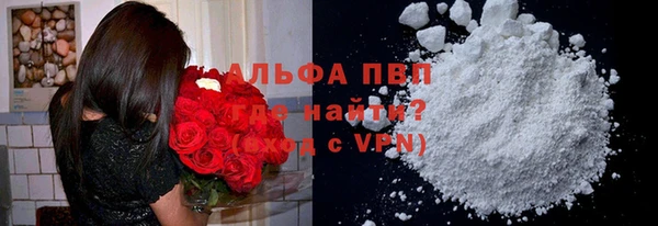 индика Абдулино